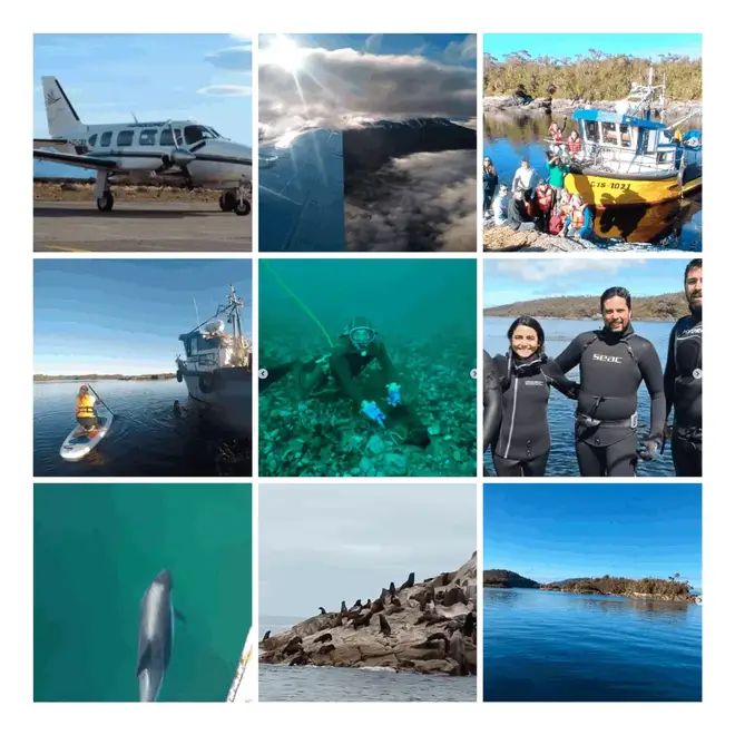 Тур по Чили №5 - Морское сафари Наблюдение за китами