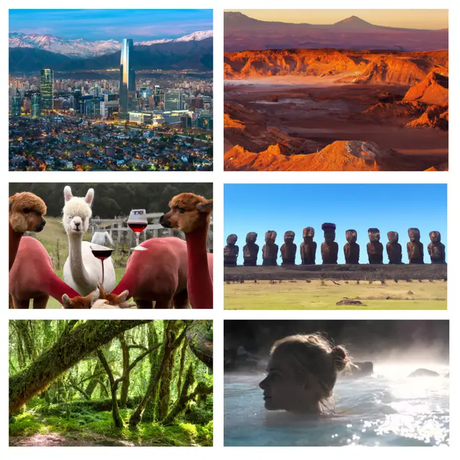 Тур по Чили - Сантьяго, остров Пасхи, пустыня Атакама, Альпаки, Винный тур, Патагония, Горячие источники